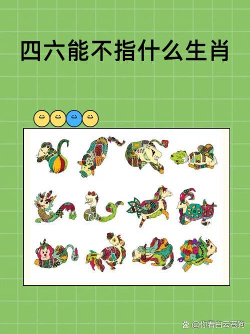 中间最佳答案是什么生肖的简单介绍