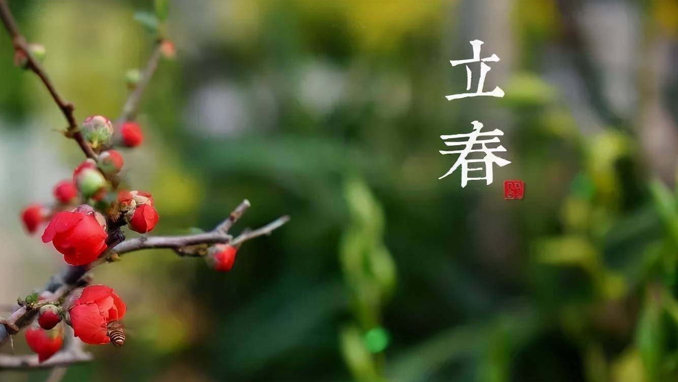 立春打最佳一肖-100%最准的一肖