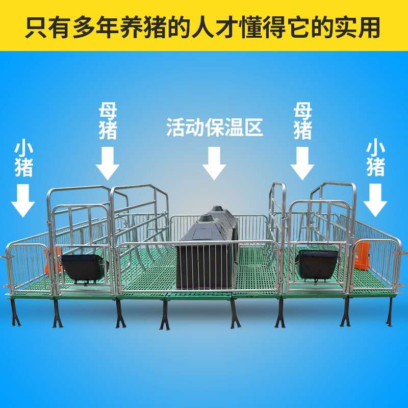 三条蛇仔缠大猪正确答案-三条蛇仔缠大猪,生逢闰四初十口