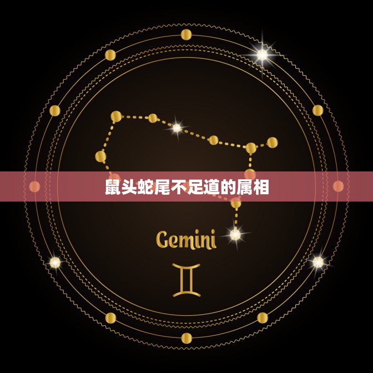 一清二白打一生肖-一清二白的三大生肖