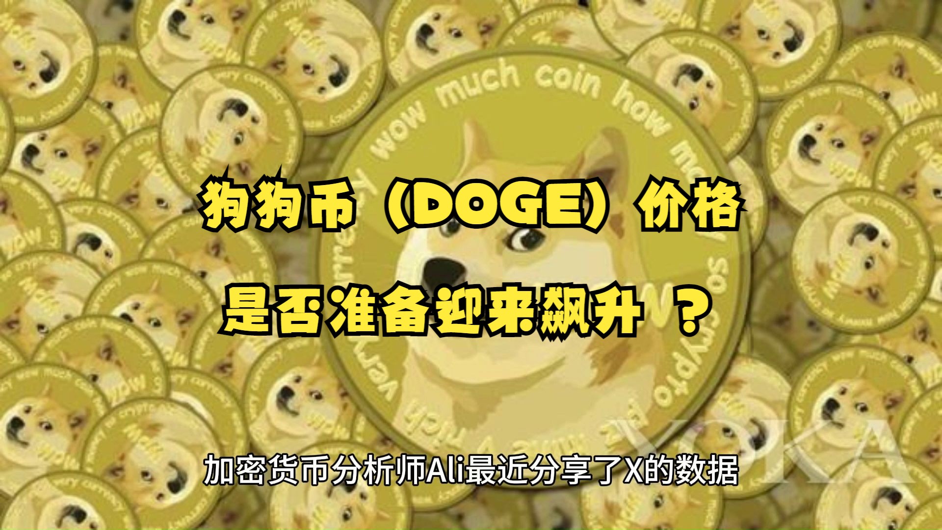 狗狗币的最新消息-狗狗币最新消息价格
