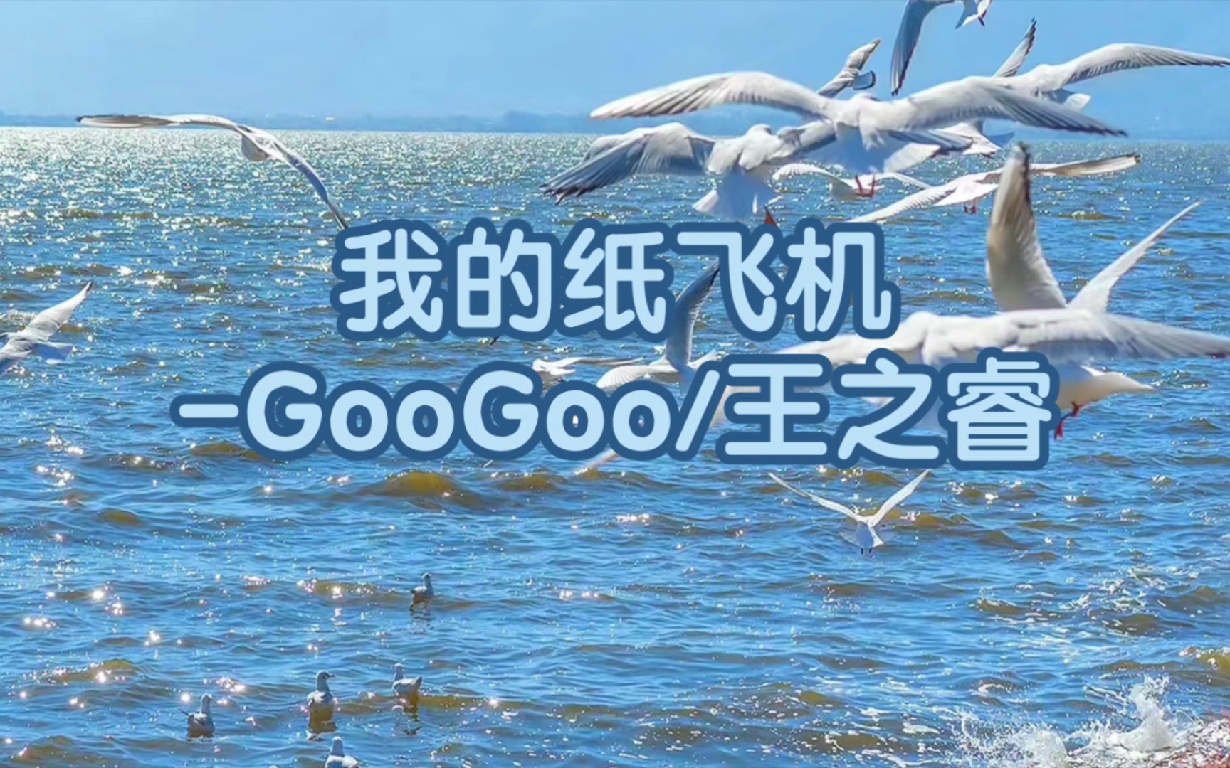 纸飞机频道中文-纸飞机中文频道群