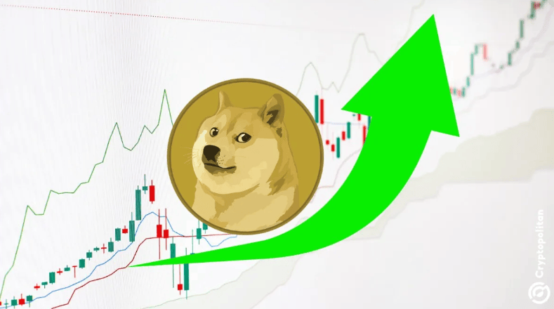 狗狗币最新行情今天-狗狗币最新价格 今日行情
