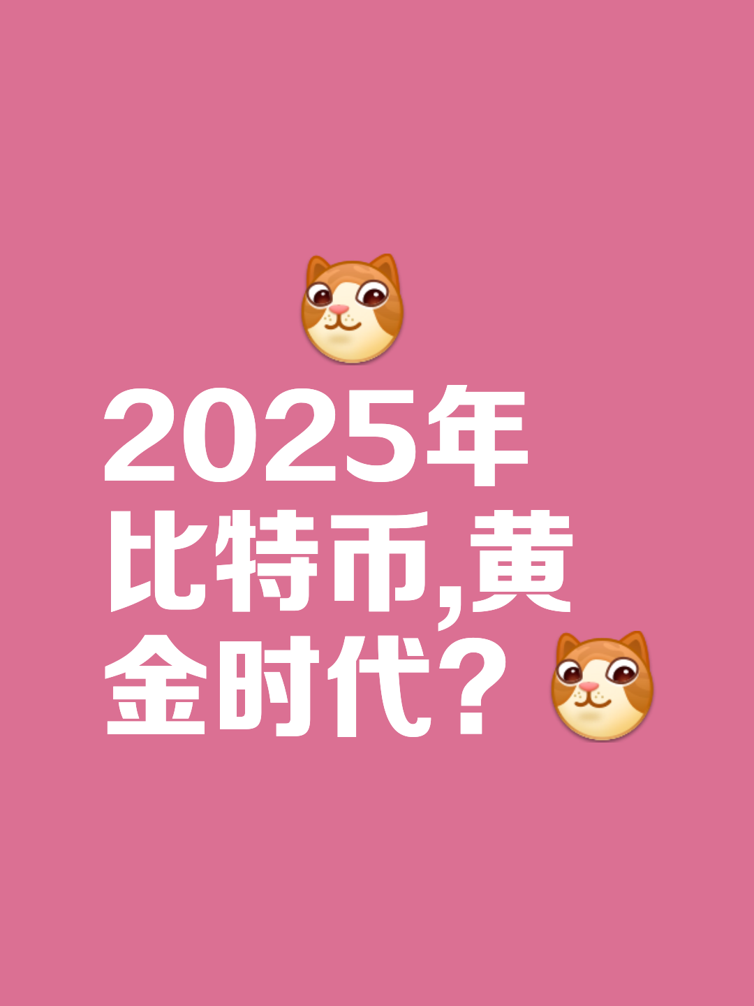 比特币2025年价格-2025牛市最可能爆发的币