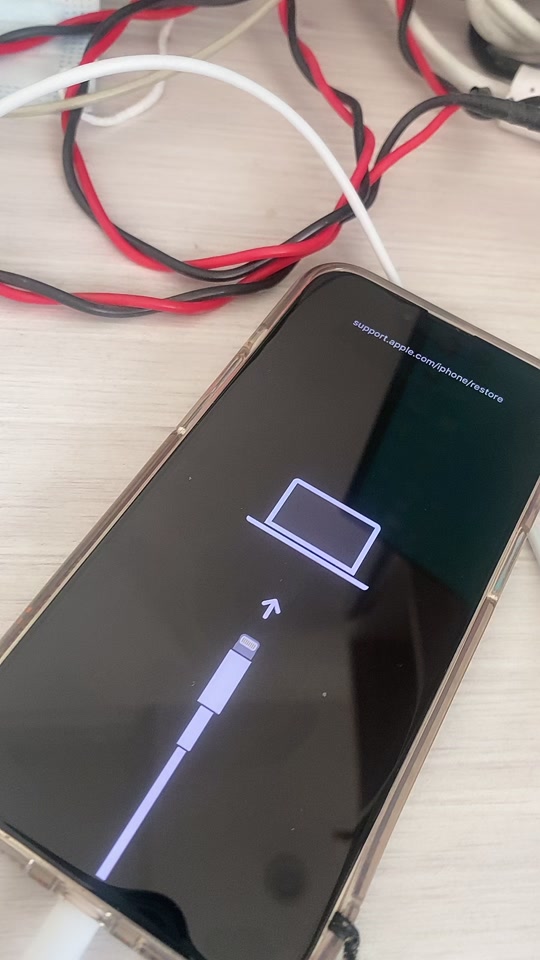 关于iPhone梯子能连接但是上不去网的信息