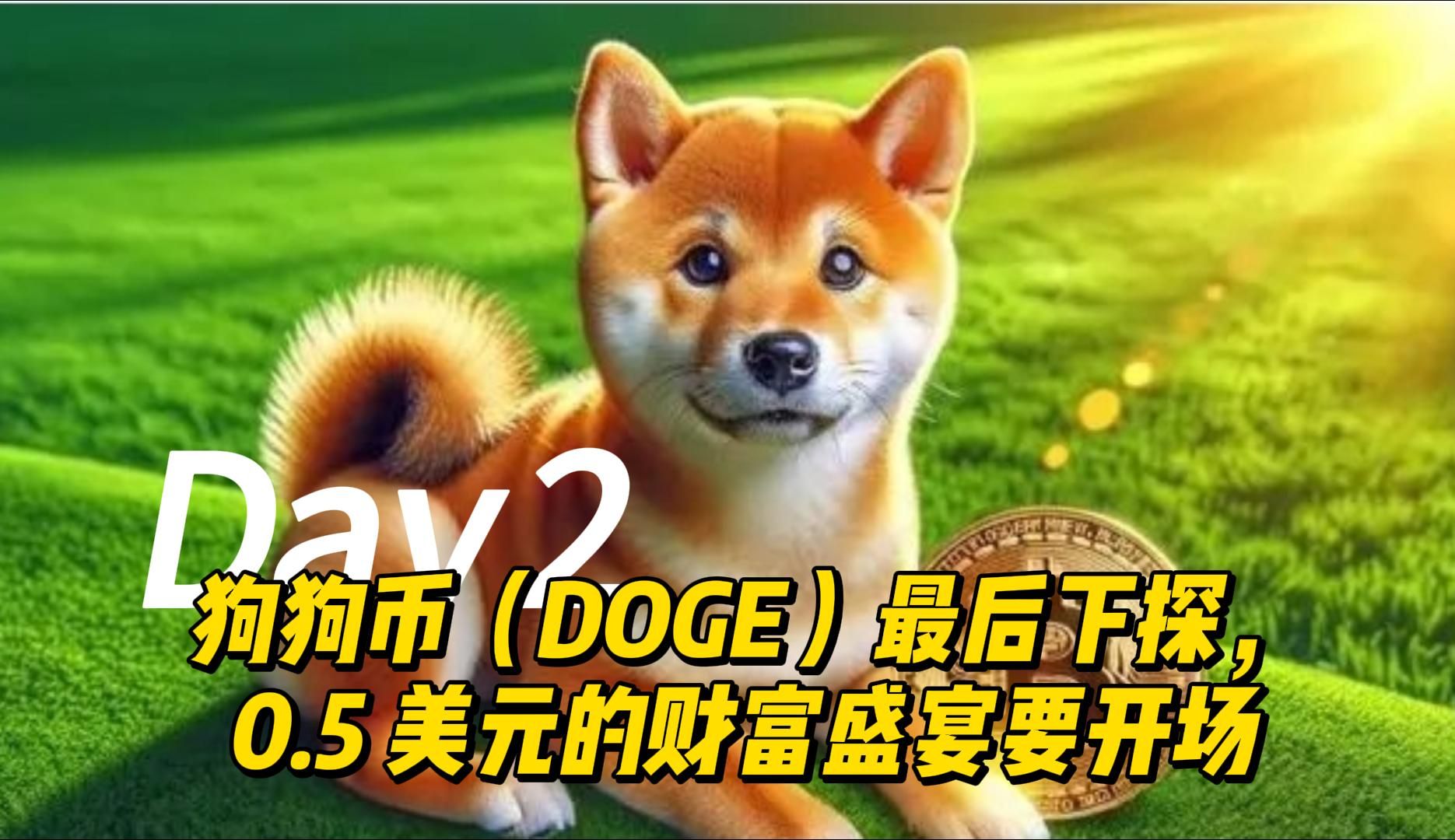 狗狗币今日兑美元-狗狗币今日行情美元