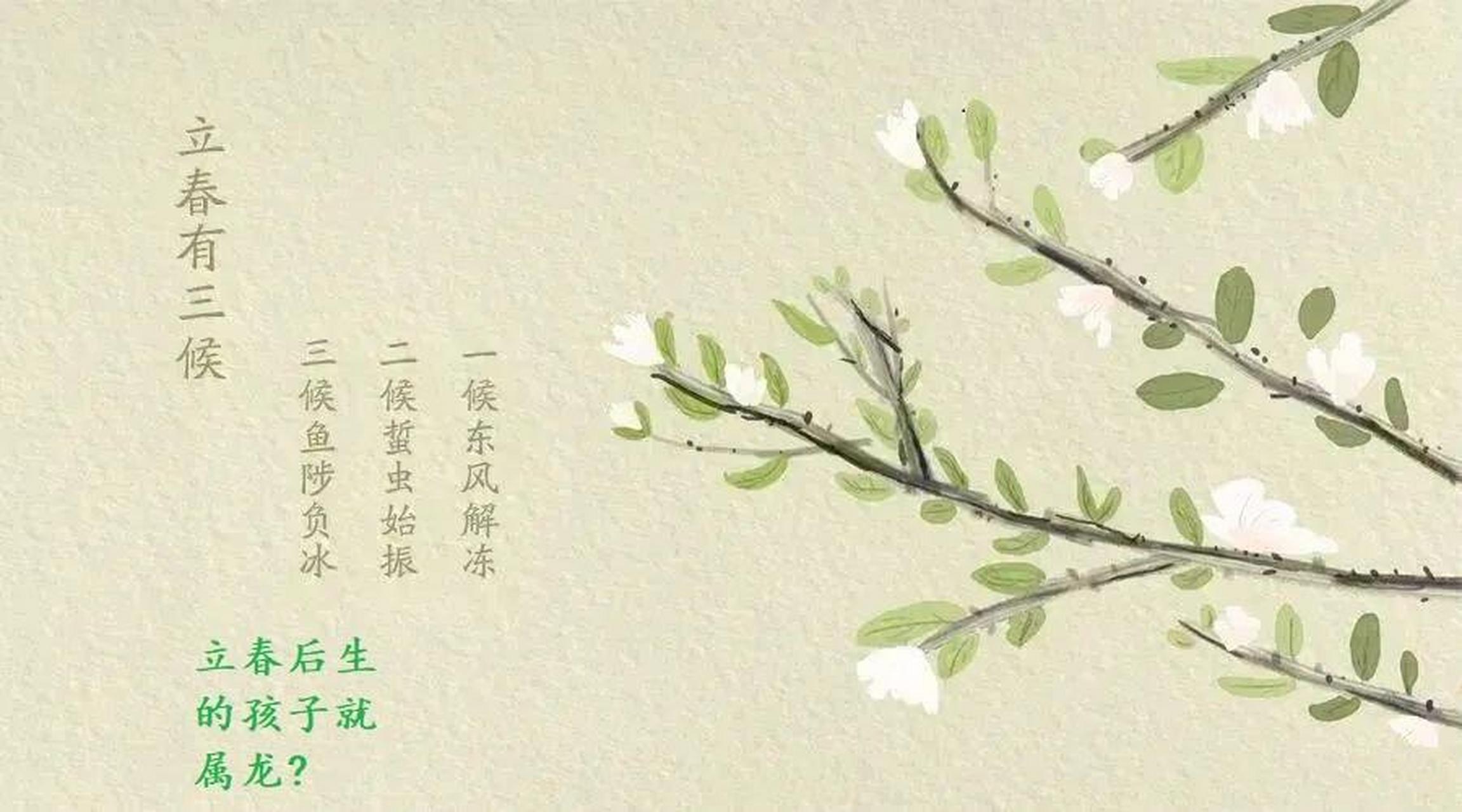立春代表哪个生肖-立春指的是什么生肖