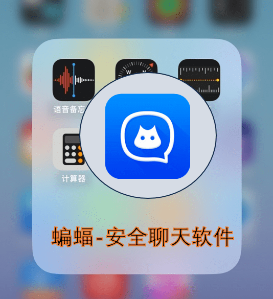 蝙蝠聊天交友软件官方下载-蝙蝠聊天app下载最新版本246