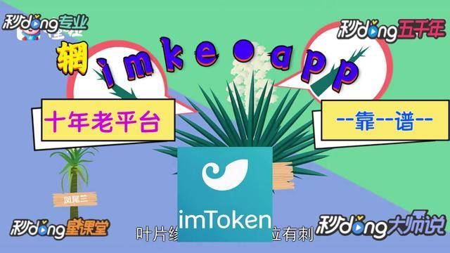 关于tpwallet和TokenPocket的信息