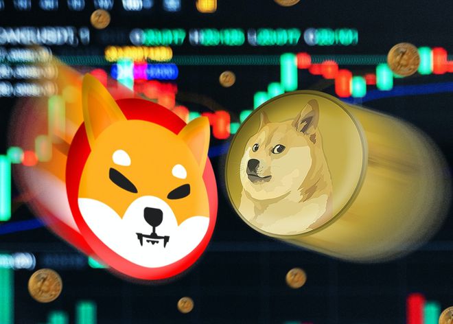 狗狗币翻倍-狗狗币翻倍了多少