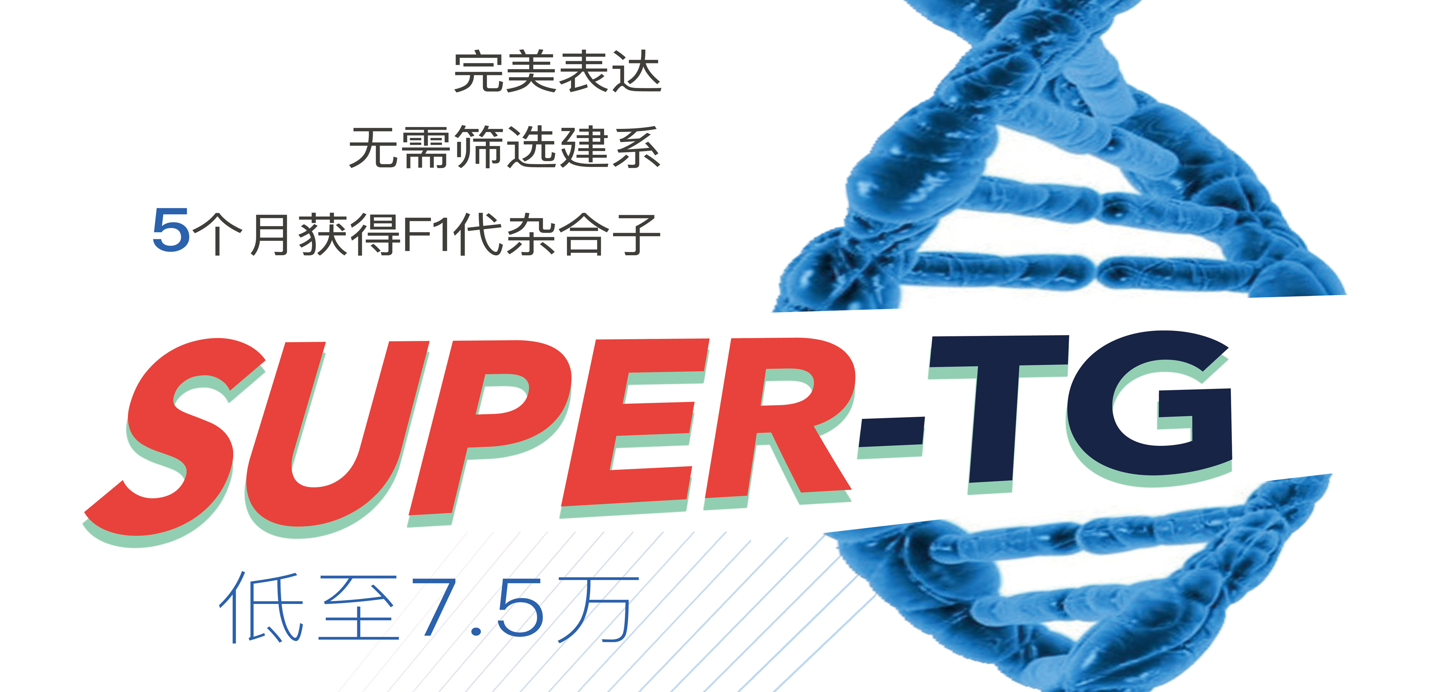 包含tg官网是什么网址的词条