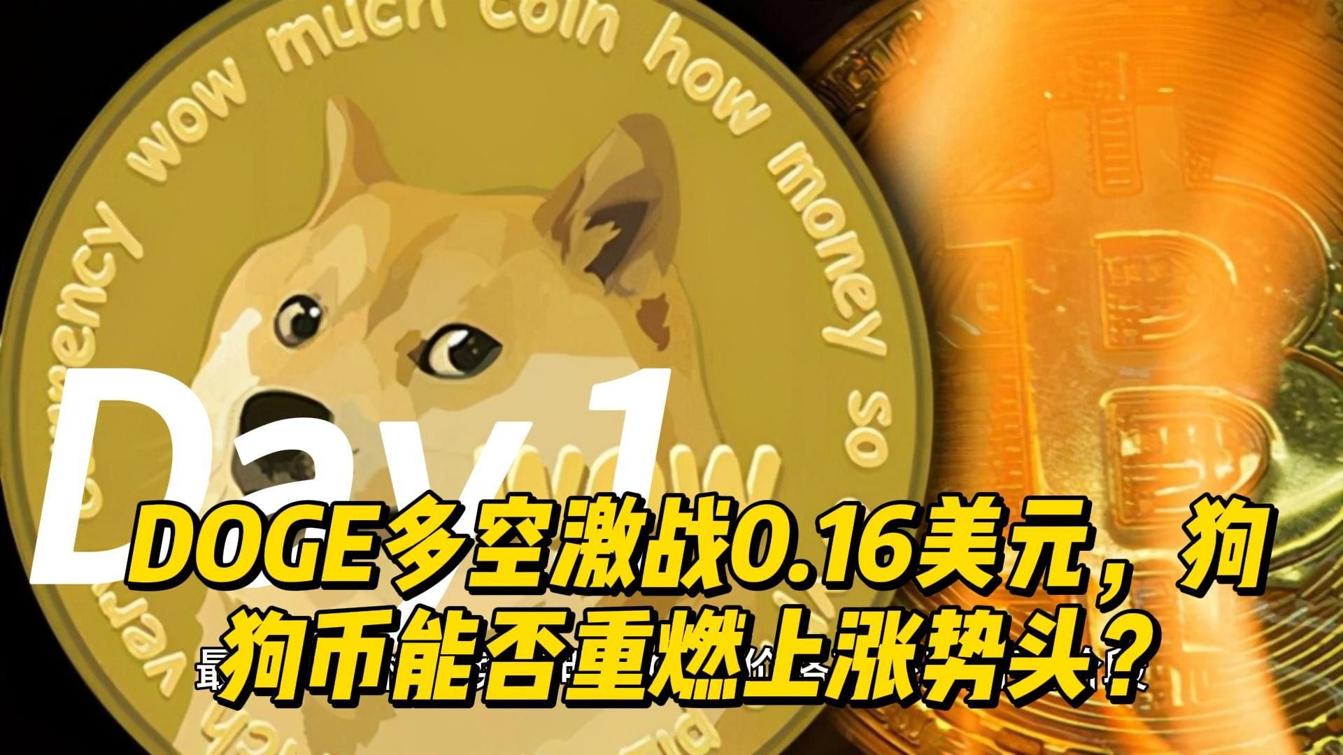 狗狗币美元实时行情-狗狗币2025涨50倍