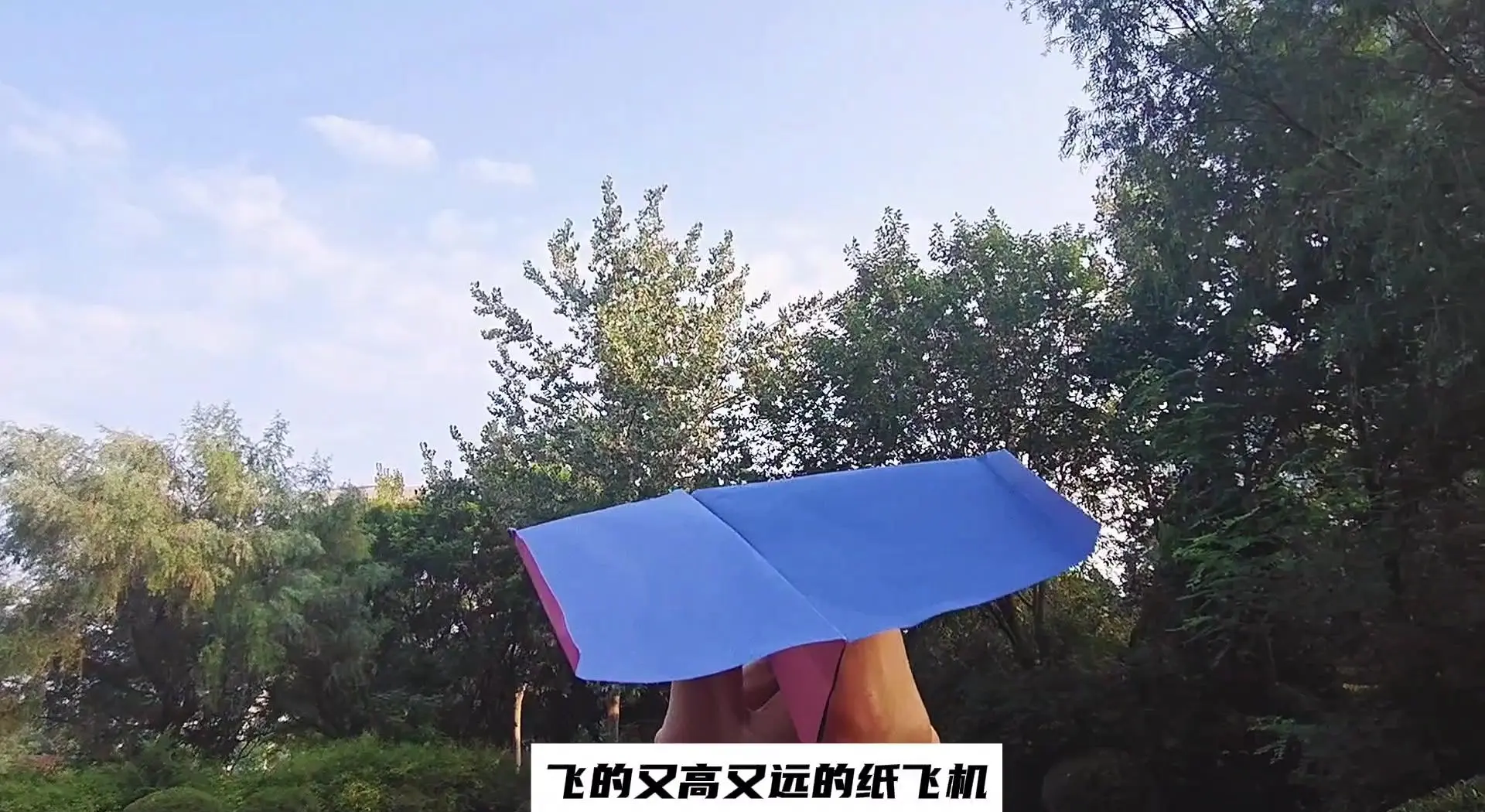 纸飞机官网入口是多少-纸飞机john collins的网站
