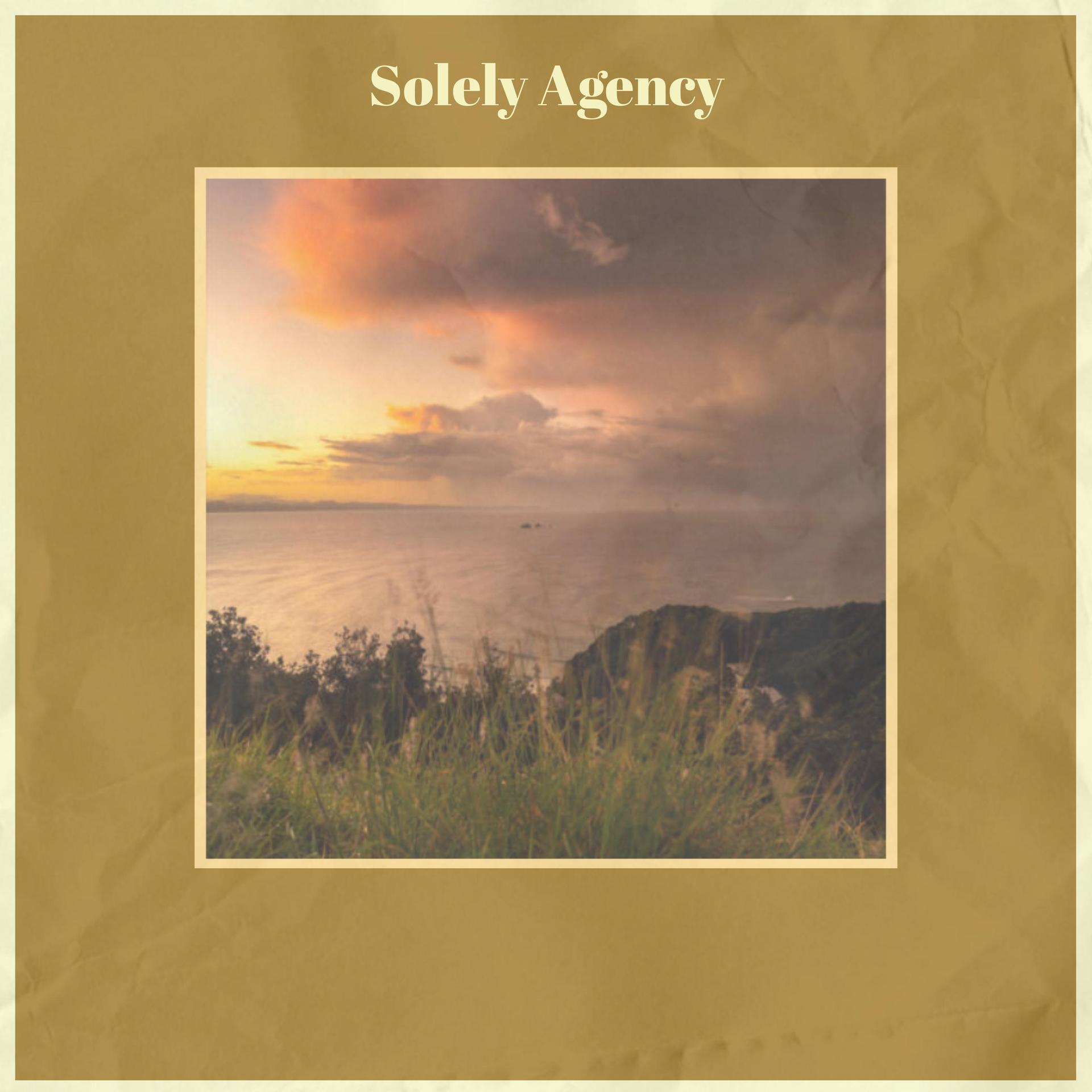 solely-solely翻译成中文